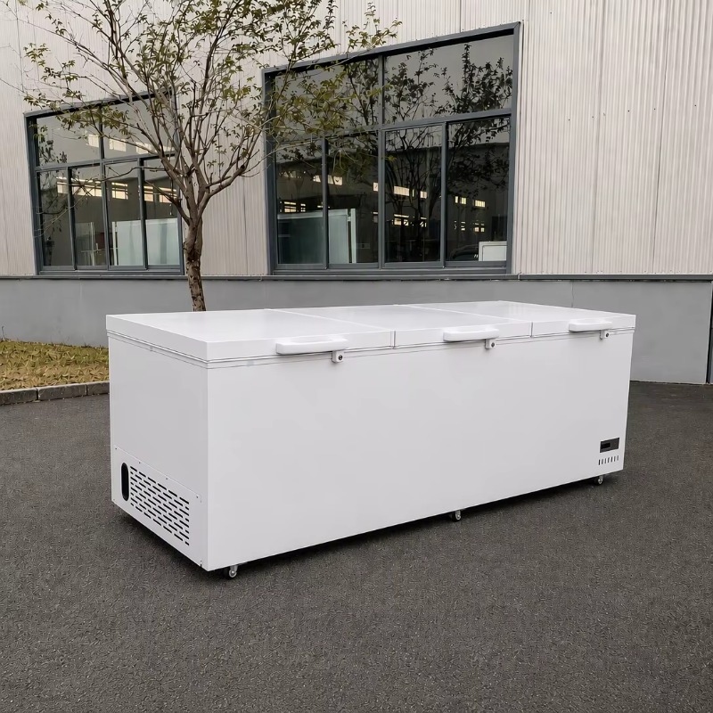 Congélateur coffre horizontal  - Commercial Chest Freezer avis et prix