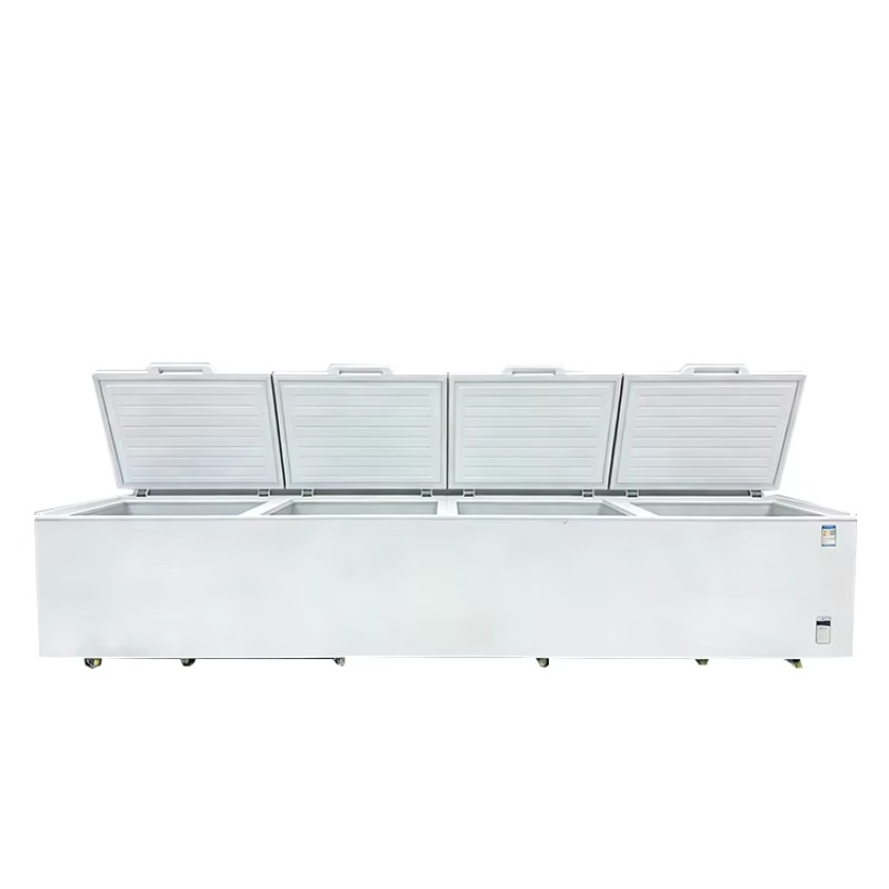 Congélateur coffre horizontal  - Commercial Chest Freezer avis et prix